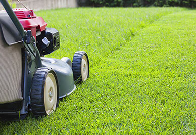 lawn mower mowing lawn pinellas county