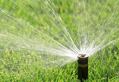 lawn sprinklers