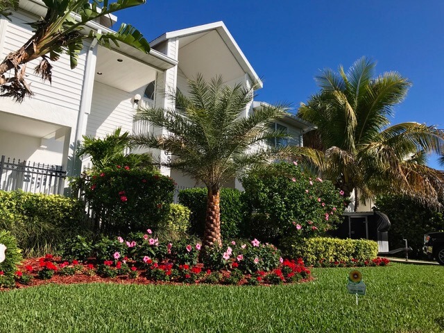 Organic Lawn Care Service Areas, Landscaping Pinellas County