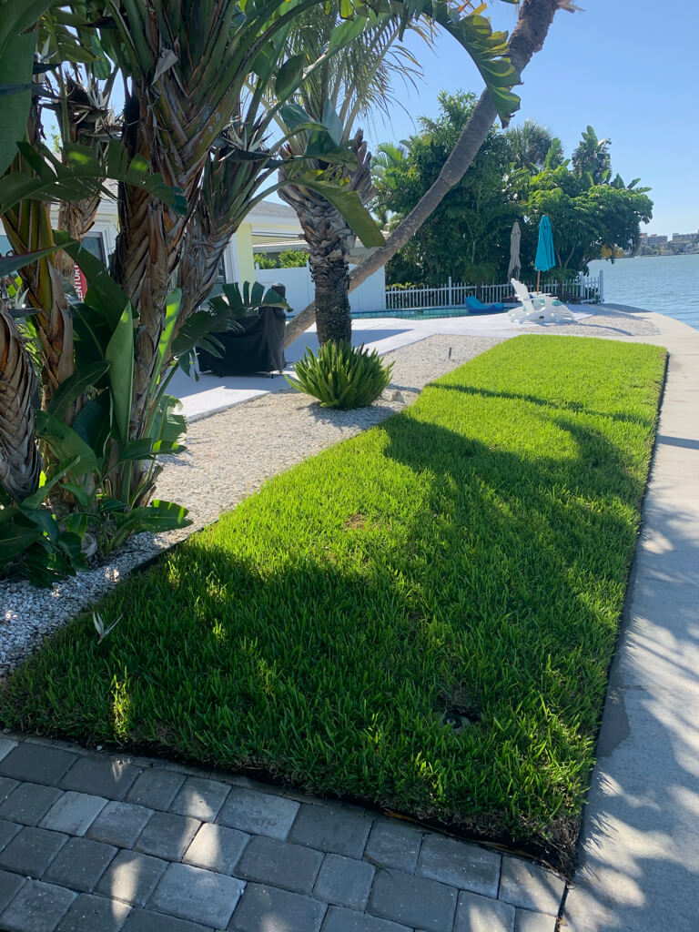 after-sod-installation-st-pete-fl