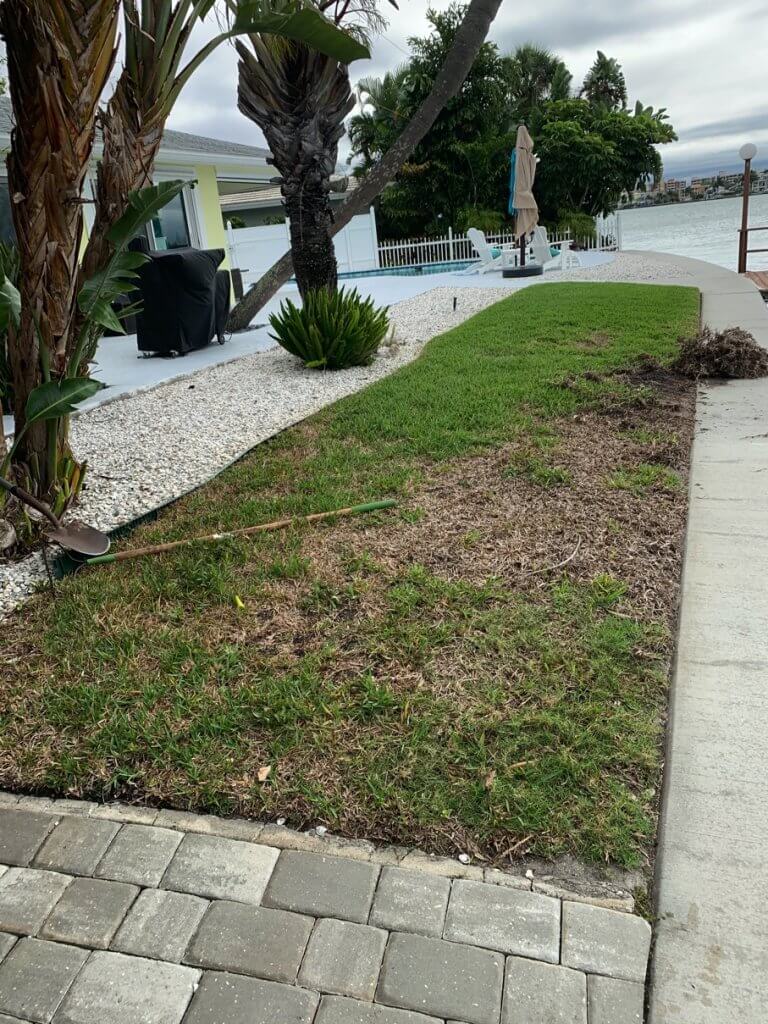 before-sod-installation-st-pete-fl