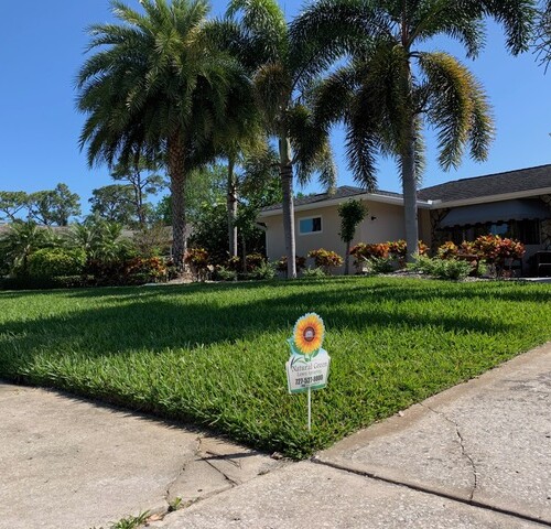 This home in Seminole, FL had really a bad case of chinch bugs as well as palm tree deficiencies After using Natural Green, their chinch bugs are gone and the palm trees are starting to recover. Their yard looks great! Seminole Florida Had really bad chinch bugs and palm deficiencies Chinch are gone and the palms are starting to recover