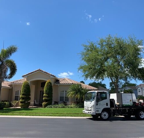 A home in Seminole, FL had some really bad chinch bugs and damage to their yard. Things look great now! Seminole Florida Organic Lawn Treatment Chinch bugs and damage really bad looks great now