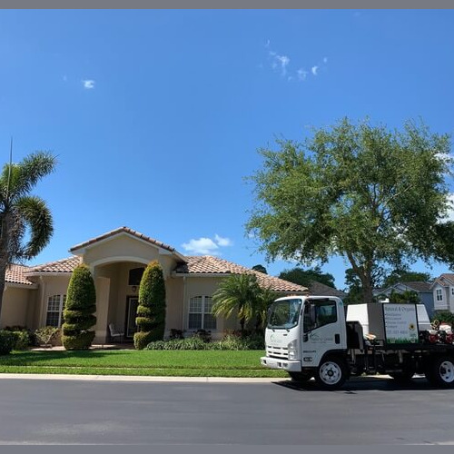 A home in Seminole, FL had some really bad chinch bugs and damage to their yard. Things look great now! Seminole Florida Organic Lawn Treatment Chinch bugs and damage really bad looks great now