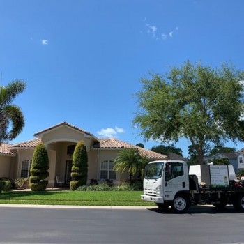 A home in Seminole, FL had some really bad chinch bugs and damage to their yard. Things look great now! Seminole Florida Organic Lawn Treatment Chinch bugs and damage really bad looks great now