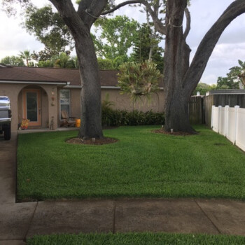 Organic Lawn Care Treatment in Largo, FL Organic Lawn Care Treatment in Largo, FL