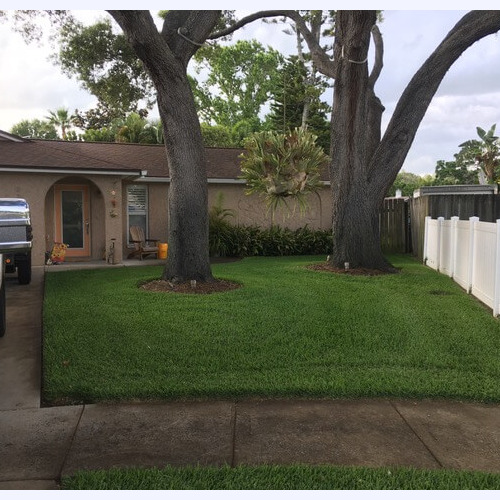 Organic Lawn Care Treatment in Largo, FL Organic Lawn Care Treatment in Largo, FL
