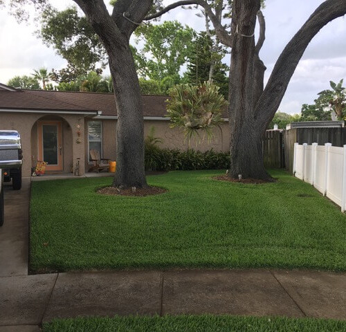 Organic Lawn Care Treatment in Largo, FL Organic Lawn Care Treatment in Largo, FL