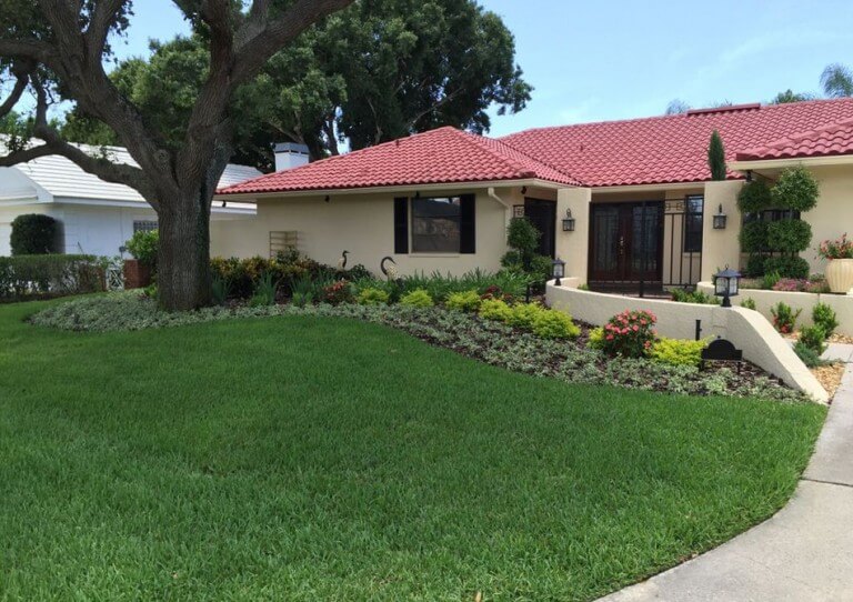 Natural Green Lawn Spraying Organic Lawn Care Near Me St. Pete, FL