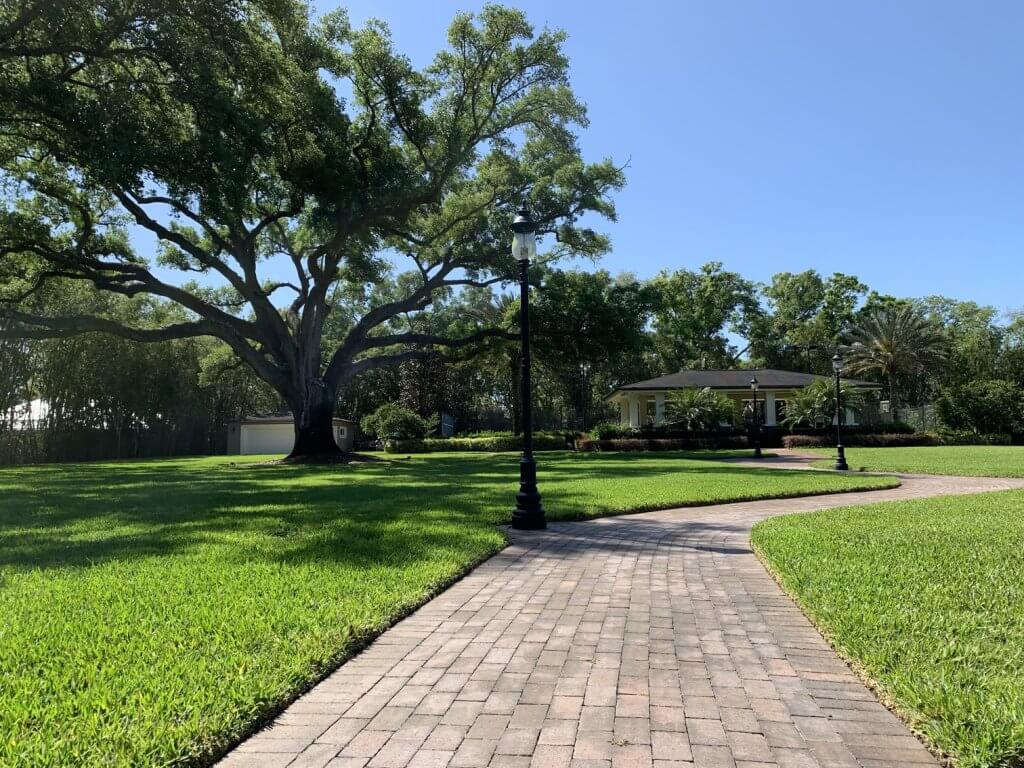 natural-organic-lawn-treatments-green-grass