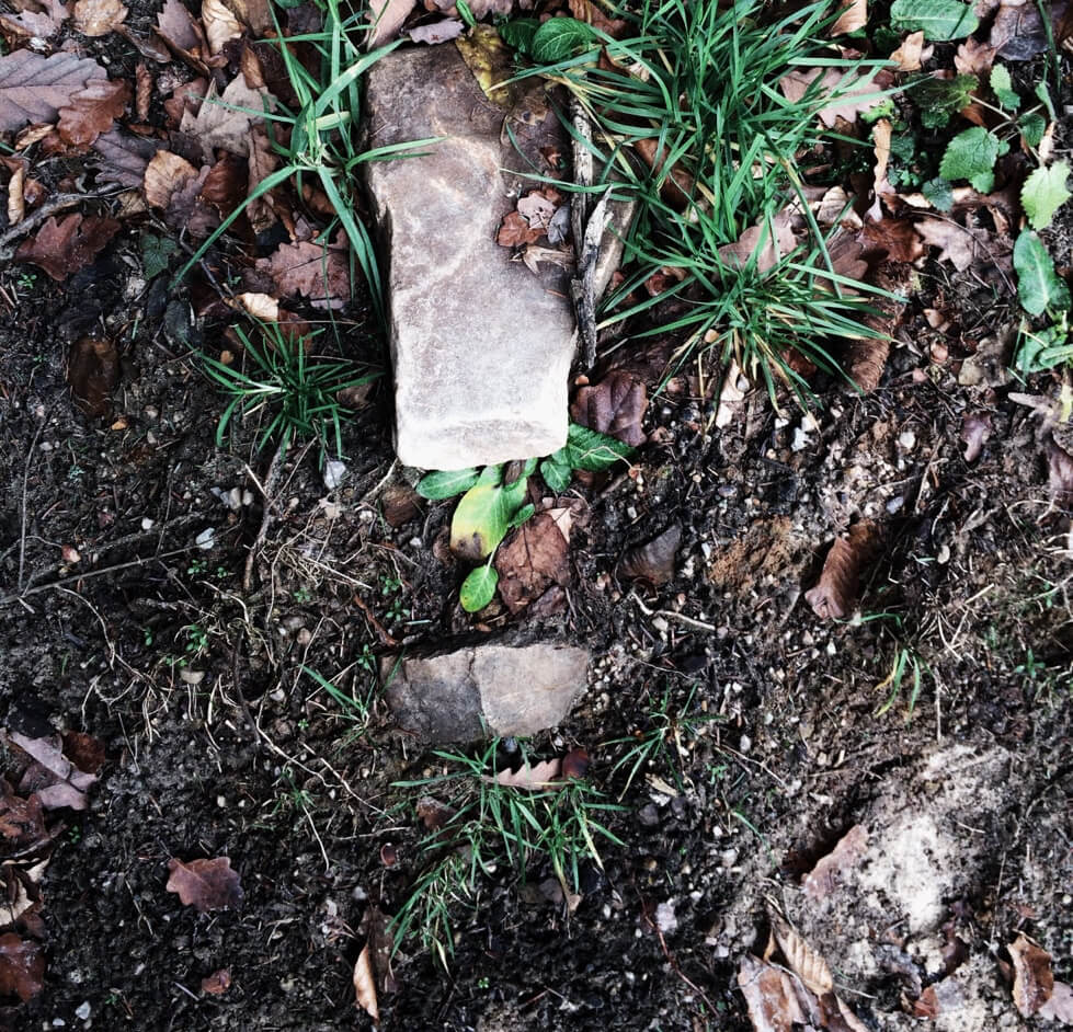 soil-fertilizing-service-st-petersburg-fl-min